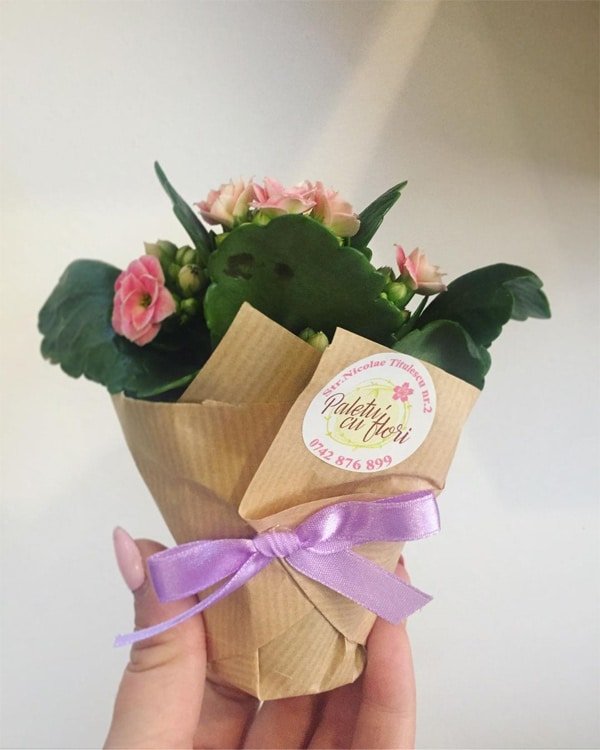 ideias de lembrancinhas para maternidade ideias de lembrancinhas para maternidade